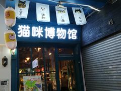 -猫咪博物馆(顶澳仔猫街店)