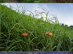 -萍乡武功山风景名胜区