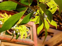 -西关84·History·Art·Cafe