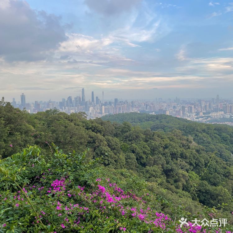 广州白云山桑拿之旅