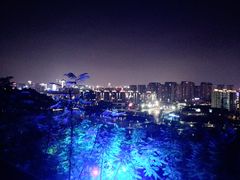 -飞凤山奥体公园