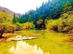 -黄龙山原始森林景区