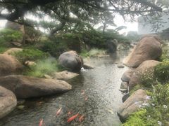 -罗红摄影艺术馆