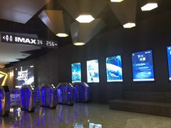 -星河寰宇IMAX影城(星河WORLD·COCO Park店)