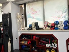 -温鉴良实用咏春拳