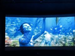 -CGV影城(东港IMAX店)