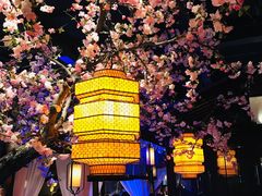 -绿茶餐厅(松江万达店)