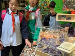 -Behring World of Animals(上海自然博物馆店)