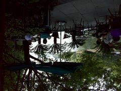 android_upload_pic-星巴克(西湖天地店)