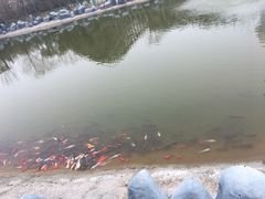 -郑州方特梦幻王国