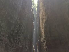 -武陵山森林公园