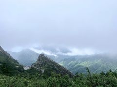 -朱雀国家森林公园