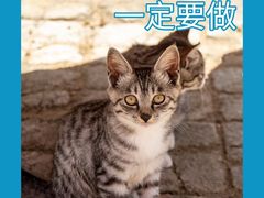 -美迦爱-牙专科·兔科·骨科诊疗中心(北苑店)
