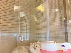 -Me Coffee下午茶艺术空间