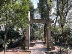 -上海佘山国家森林公园天马山园