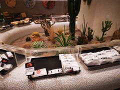 -OUR Bakery(SKP-S店)