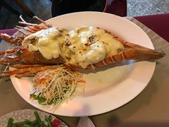 -Red Lobster