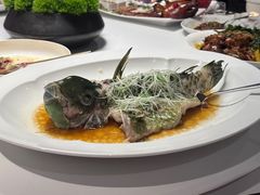 -三号黄浦会Canton Table