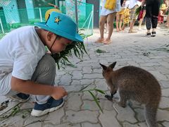 -西霞口神雕山野生动物世界