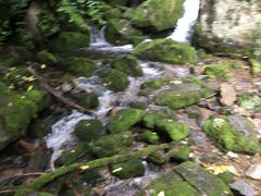 -陕西省红河谷森林公园