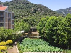 -厦门国家会计学院