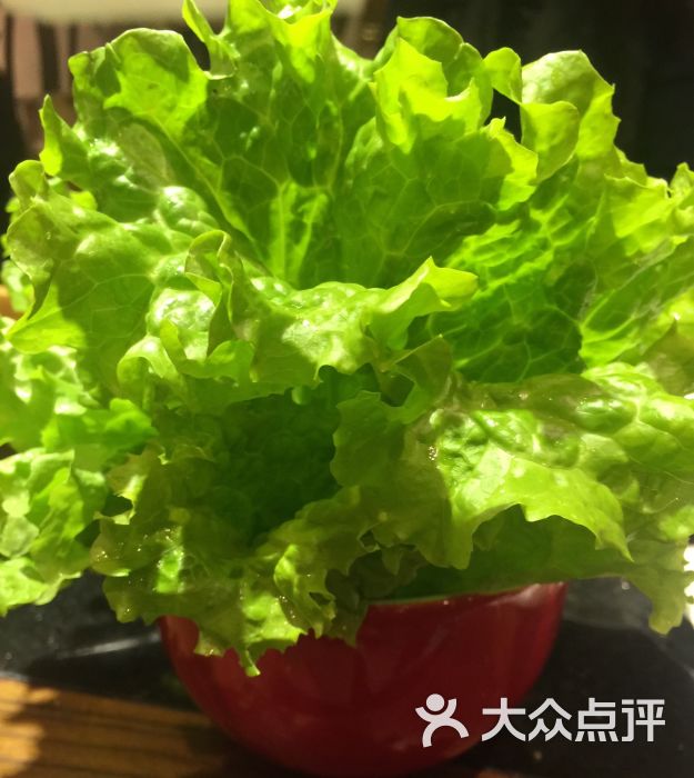 四川香天下(淮海中路店)生菜图片 - 第8325张