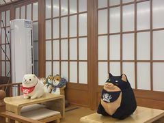 -豆柴町-柴犬主题狗咖(红鼎国际C座店)