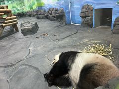 -秦皇岛野生动物园