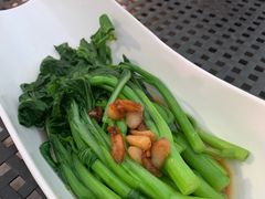 -梧桐餐厅(泉城路店)