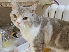 -平行世界·猫咖(首经贸店)