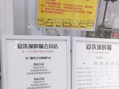 -爱洗澡的猫(天河路店)