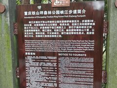 -铁山坪森林公园