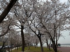 -幕燕滨江·燕子矶公园