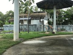 -清迈夜间动物园