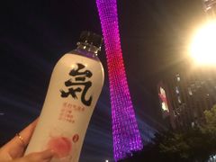 -珠江夜游广州塔·中大码头