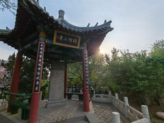 -桃花堤公园