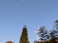 -东白山