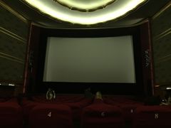 放映厅-大光明电影院(南京西路店)