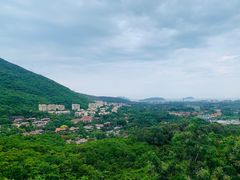 -三亚亚龙湾人间天堂鸟巢度假村