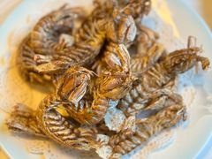 -宾朋海鲜饭庄(兴海路店)