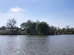 -上海长兴岛郊野公园