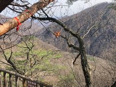 -五女峰国家森林公园