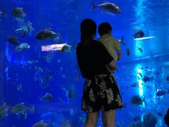 -成都浩海立方海洋公园