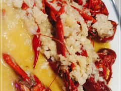 -杨氏青龙虾·羊蝎子(托乐嘉店)