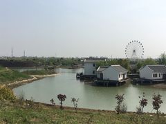 -金卉庄园