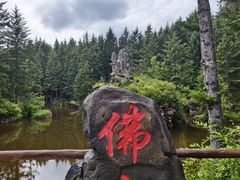 -茅兰沟国家森林公园