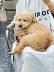 -Hair Co.一间沙龙