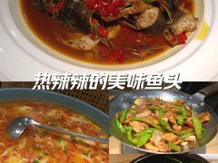 -7017浙菜•建德味(中财店)