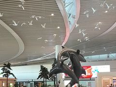 -青岛胶东国际机场