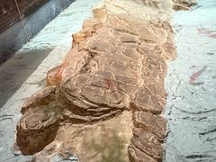-白鹤梁水下博物馆
